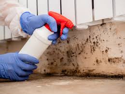 Best Water Damage & Mold Remediation  in Wyandanch, NY